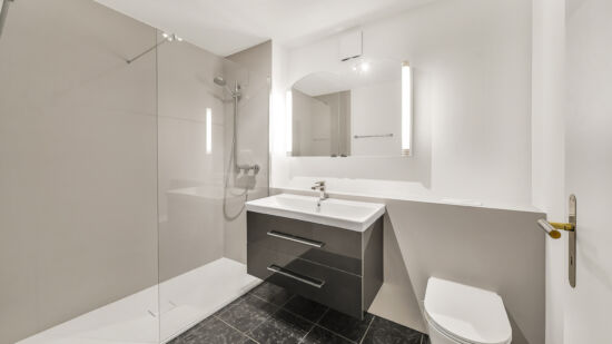 Teilsanierung komfortable Dusche hell grau Waschtisch Spülkastenverkleidung